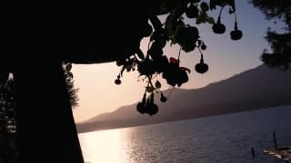 Vérifiez votre âge